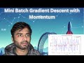 🔥Secrets of Gradient Descent with Momentum Finally unveild through Python!! 🚀 | Machine Learning