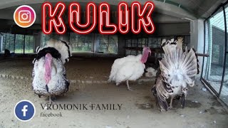 Kulik Bird Sanctuary | Raiganj Wildlife Sanctuary | vromonik