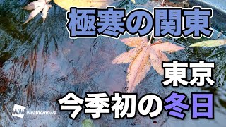 【極寒の関東】東京では今季初の冬日も観測（初氷も観測）