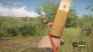 Lion with Houyi Recurve bow, undetected, no clues ecc - THE BEST - theHunter: Call of the Wild