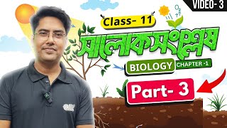 সালোকসংশ্লেষ - Part 3 | Photosynthesis | Unit 1 | Biology | Class 11 | Semester 2 | elit