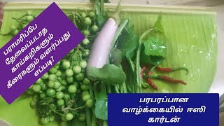 ஓசி ஈஸி லேஸி கார்டன் மூலம் காய் கீரைகள்