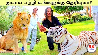 இந்தியாவில் ஏன் இவ்வளவு தூசியும் மண்ணும் பறக்கிறது? | Dubai amazing people history in tamil #bkbytes