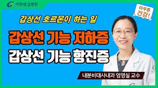 갑상선 걱정? ✔ 갑상선 기능 저하증과 항진증