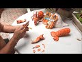 5 lb lobster taxidermy instructions. preparing a live lobster for taxidermy.