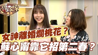 【精華版】 離婚想招第二春？LALA蘇心甯狠甩爛桃花！