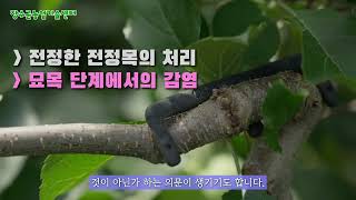 장수군농업기술센터/7월 장수사과이야기/부란병,약제방제