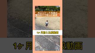 【比較動画】1歳4ヶ月から1歳5ヶ月で新しい出来た♫ #子育て #1歳児 #成長記録 #あそびcafeコロン