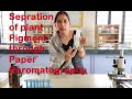 SEPARATION OF PLANT PIGMENTS THROUGH PAPER CHROMATOGRAPHY