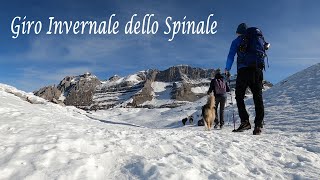 Dog trekking ad anello dello Spinale. Madonna di Campiglio - Malga Fevri - Rifugio Graffer -