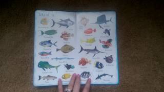 Usborne 199 Things Under the Sea