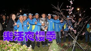 內湖2020樂活夜櫻季 柯文哲：公私協力最好的範例去年來看櫻花近21萬人