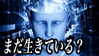 【衝撃】死後、生きる謎の10分間があった！ 研究者「説明不可能な事態」摩訶ちゃんねる