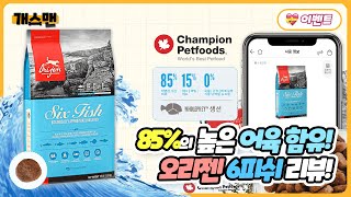 [개스맨] 85%의 높은 어육 함유! 오리젠 6피쉬 리뷰!ㅣ반해