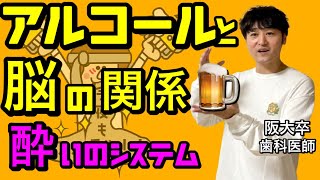 超絶わかりやすい！！アルコール(酒)と脳の関係(酔いの仕組み) 大脳辺縁系 海馬 神経の生理15【解剖生理学】【臨床医学】