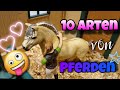 10 Arten von besonderen Pferden✨️Schleich Video