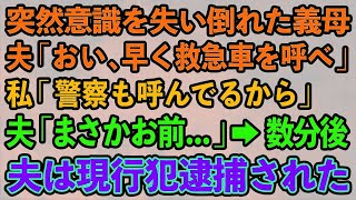 【スカッとする話】突然意識を失い倒れた義母。夫「おい、早く救急車を呼べ」 私「警察も呼んでるから」 夫「まさかお前知っていたのか   」→数分後 夫は現行犯逮捕された