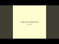 Fragments Twilight Echo