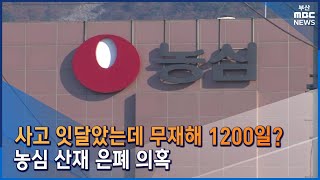 사고 잇달았는데 무재해 1200일?...산재 '은폐' 의혹 (2022-11-09,수/뉴스데스크/부산MBC)