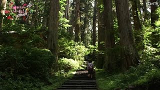 ミシュラン3つ星、羽黒山（鶴岡市）