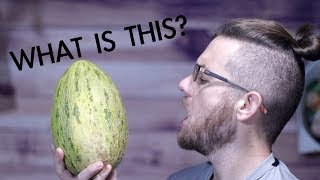 Have You Tried This?  (Hami Melon / Snow Melon)