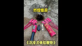 童年回忆螳螂 ~#解压 #户外#童年回忆#螳螂捕蝉