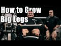 Nick Walker | How To Grow Big Legs