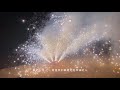 #兔年开运只想发财 大年初一拜年啦！祝大家前兔似锦，百事从欢