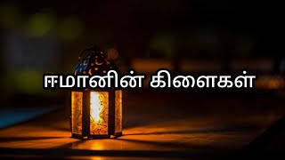 ஈமானின் கிளைகள்