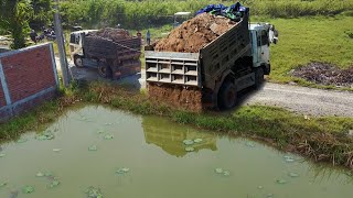 Start incredible new PROJECT! Power machinery, dump trucks \u0026 dozer meet plenty of difficulty