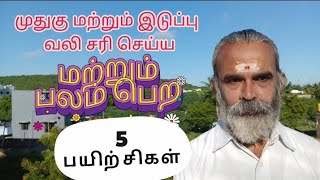 முதுகு மற்றும் இடுப்பு பலம் பெற 5 பயிற்சிகள்  Dr.C.Balaji Ph.D(Yoga) M.D(acu)