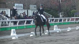 第88回全日本学生馬術選手権大会　決勝馬場馬術競技　菅原権太郎選手（日本大学）・温桜　貸与