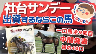 【一口馬主】社台サンデー募集！初めての40口…中間発表！ブリックスアンドモルタル、サトノクラウン、サートゥルナーリア産駒他