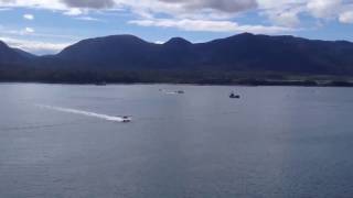 White and Black Seaplane landing in water Flying Friday #31