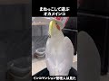 いつも遊んでくれてアリガト