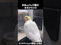 いつも遊んでくれてアリガト