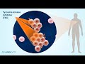 introduction to alk inhibitors