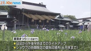 福津市　宮地嶽神社に初夏の訪れ　菖蒲まつり開催