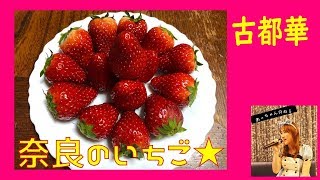 ちょっと贅沢☆奈良のいちご古都華食べてみた☆