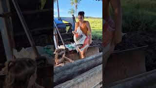 Strong Farm Woman Feeding Animals With Baby | Real Village Life Routine ❤️🚜 #villagelife #farm