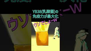 乳酸菌を発酵させたらめちゃいいもんできた！｜山田養蜂場　#shorts