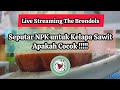 Live Streaming The Brondols: Seputar NPK Untuk Kelapa Sawit, Apakah Cocok !!!!