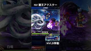 【FFBE】NV覇王アクスター（SLB）NVLB挙動