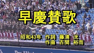 【神宮球場応援席へ行こう】早慶賛歌　歌詞　【早稲田慶應新入生練習用】