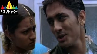 Nuvvostanante Nenoddantana Movie Siddharth & Trisha Comedy | Siddharth, Trisha | Sri Balaji Video