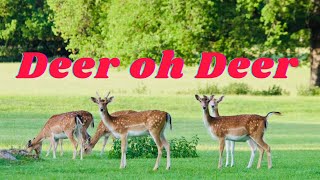 #Vlog76 Deer Oh Deer Came Out In A Force #deer #animals #wildlife #short #shortvideo #support