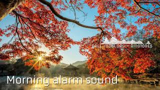 Morning alarm sound  - wake up sound, ringtone