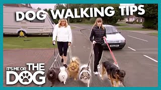 Walking Dogs and Controlling Barking | It's Me or the Dog