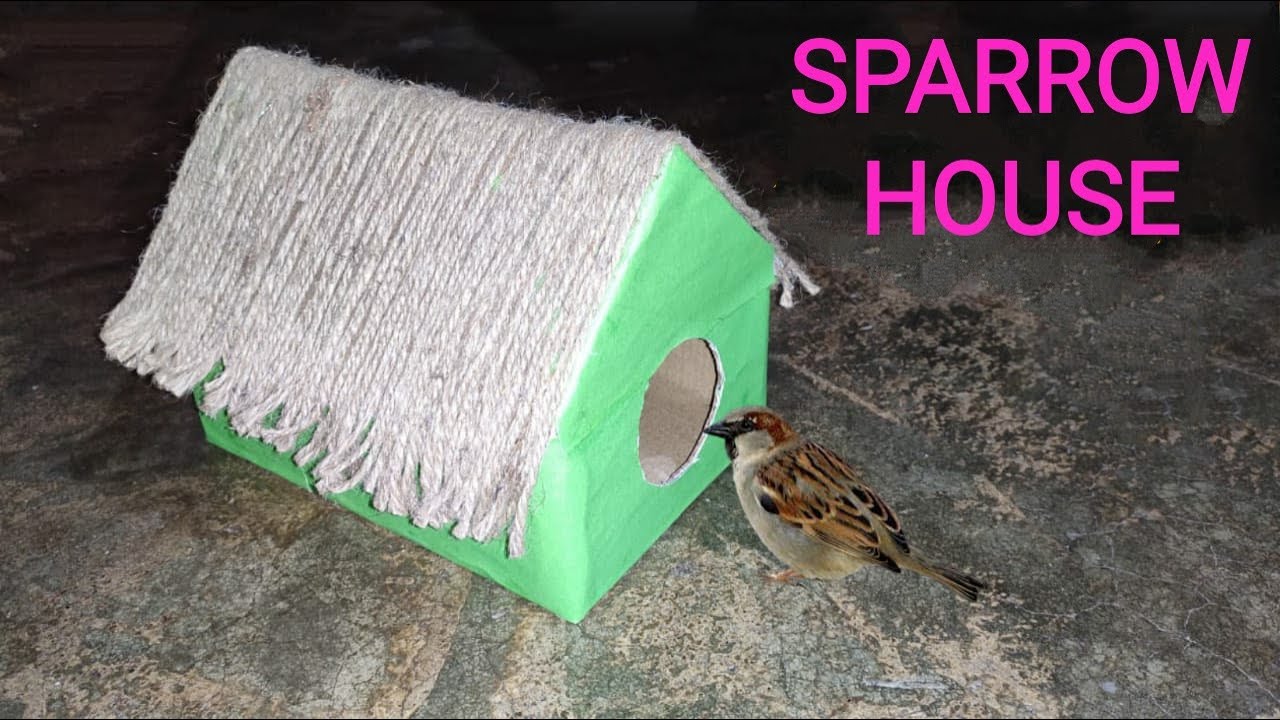 How To Make Sparrow Bird Nest With Box # Bird Nest Making At Home From ...