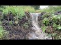 Beaver Dam Removal || HUMAN HEIGHT DAM.